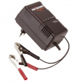 Ansmann Lead For Battery Charger - Alcs2 24a Charger For Lead Batteries 2 24v Ansmann - 9164016